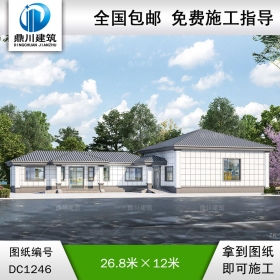 簡(jiǎn)約一層別墅施工圖紙及效果圖_農(nóng)村自建別墅設(shè)計(jì),鼎川建筑