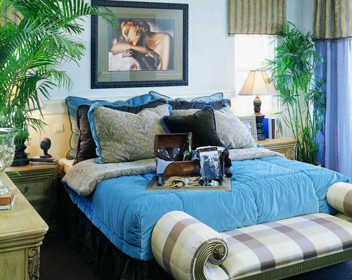 別墅家居風水 臥室放什么植物好