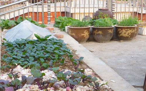 農(nóng)村自建房屋頂怎么做隔熱